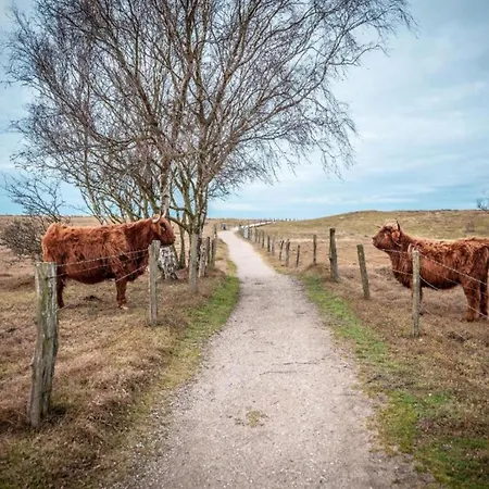 Schoenes In Biendorf Mit Garten Korchow