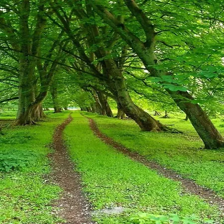 Schoenes In Biendorf Mit Garten Korchow