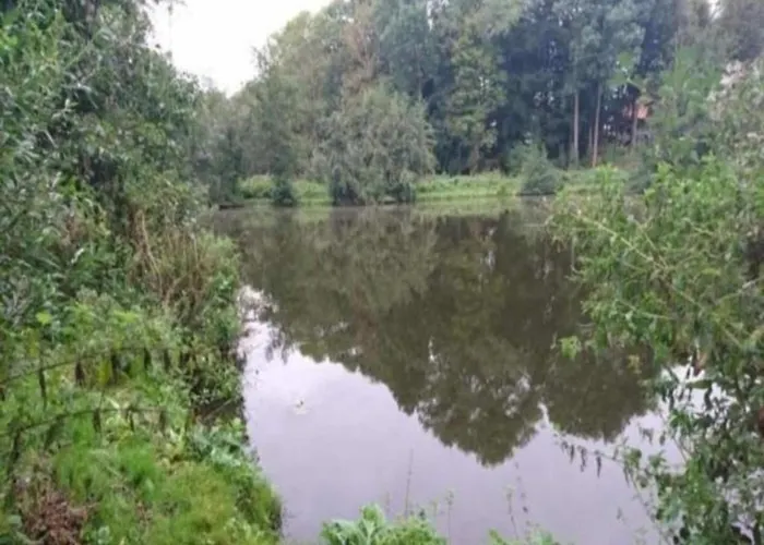 Schoenes In Biendorf Mit Garten 度假居 *