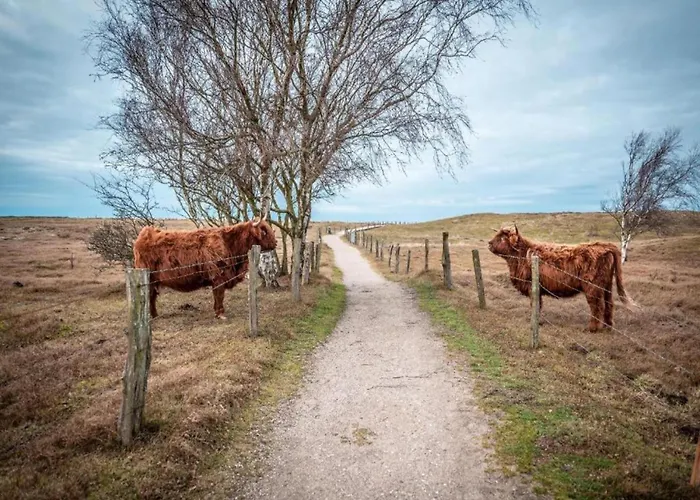 Schoenes In Biendorf Mit Garten Korchow